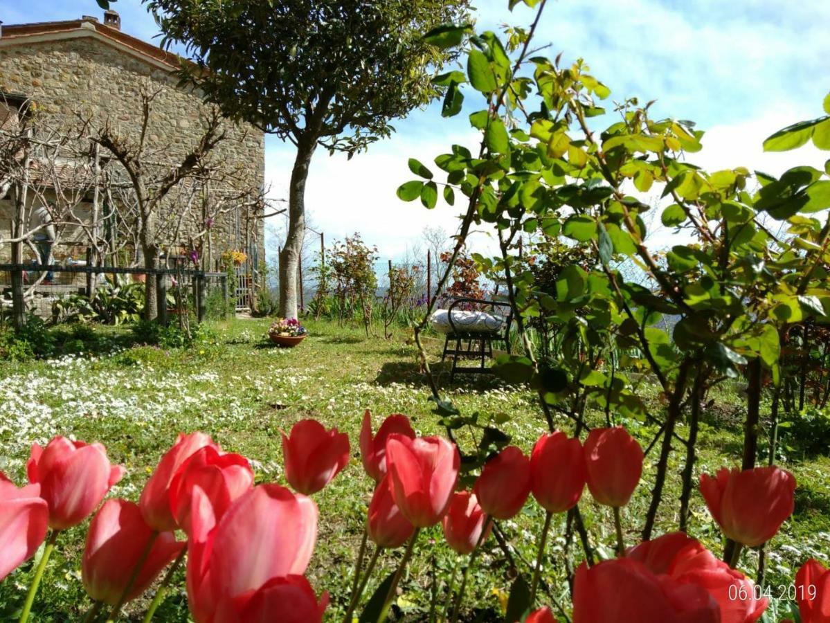 House With Stunning Views Villa Chiusdino Eksteriør billede